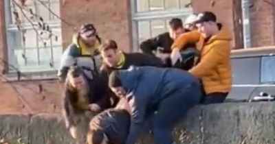 Students pull off impressive upside-down stunt to save dog from canal