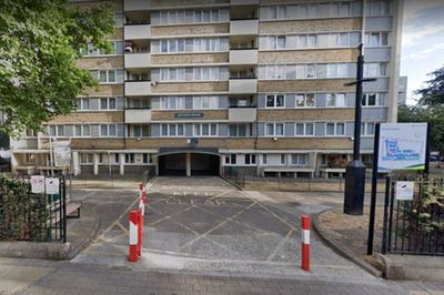 Man charged with cruelty ‘over 40 dead cats’ found on London estate