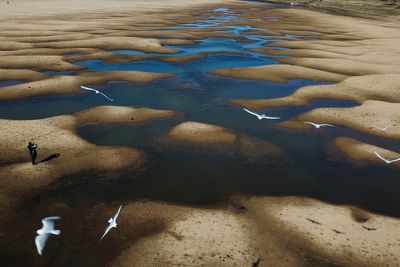 Study: Don't blame climate change for South American drought