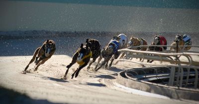 Greyhound racing takes step closer to being banned in Wales