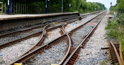 Train driver killed by passing train after climbing from cab 'to urinate or smoke'