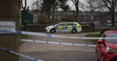 Teen arrested after 19-year-old stabbed in chest in 'targeted attack' in park