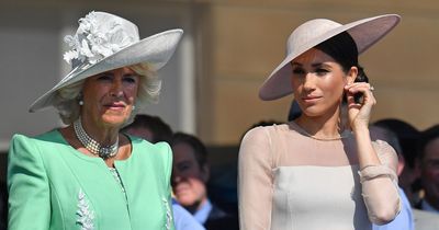 Camilla snubbed Meghan Markle with 'cruel nickname' after she quit royal family
