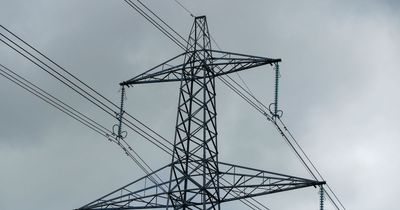Northern Powergrid advice on what to do if you get a power cut as North East braced for severe winds