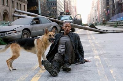 Our guide to the best apocalyptic/zombie films, for I am Legend and The Last of Us fans