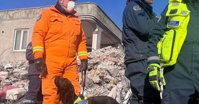 Co Down search and rescue dog finds woman alive after 8 days under Turkish earthquake rubble