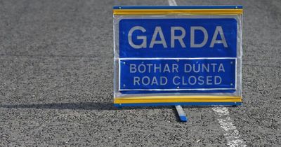 Man in his 50s dead two weeks after being hit by car in horror Waterford crash