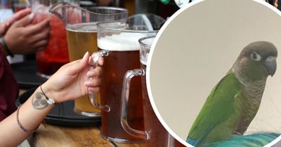 List of the quirky animals living in Bristol's pubs including turtles and parrots - and where to see them
