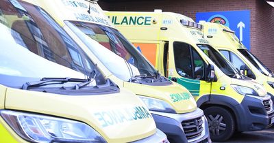 Military to step in as East Midlands Ambulance Service expects 'challenging week' due to strikes