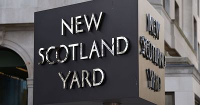 Several terror plots foiled in Britain last year were 'close calls'