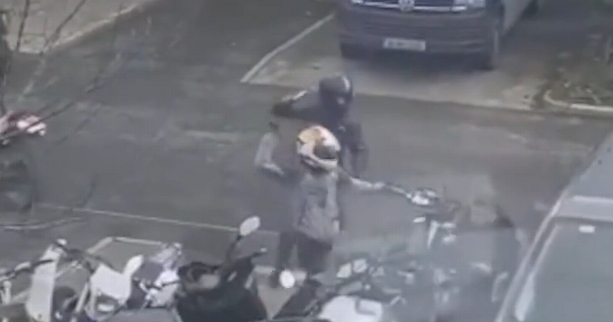 Terrifying Video Captures Moment Hammer Wielding Gang…