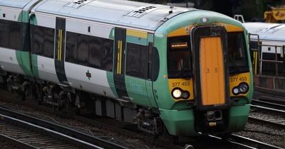 Train driver hit and killed by passing train ‘may have left cab to urinate or smoke cigarette’