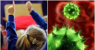 Parents warned as norovirus cases soar in schools and nurseries