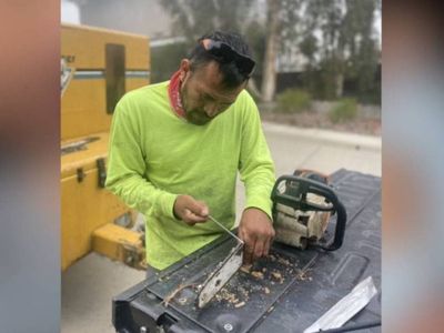 Tree trimmer dies after getting stuck 50ft up a California palm tree