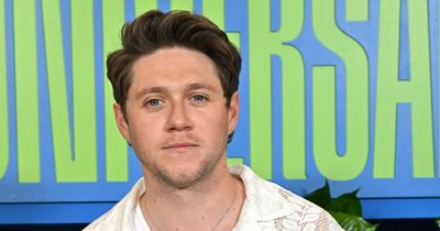 Niall Horan sends fans wild as he teases world tour after third album news