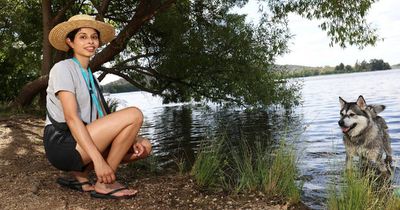 Canberra set to swelter in weekend heatwave