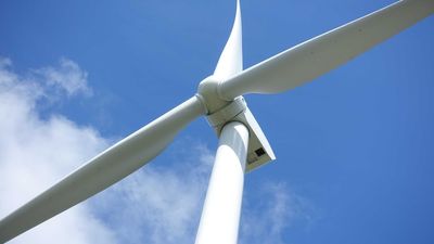 Circular Head Council gives green light to Robbins Island wind farm