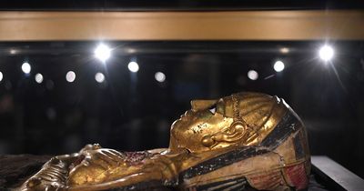 Golden mummies and a brand new gallery wing as the Manchester Museum re-opens after two years and £15m refurb