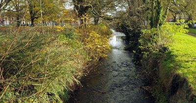 Cardiff park to partially close for over a month