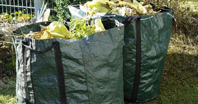 Council boss says plans to bring in green waste charge to Vale of Glamorgan involves risks