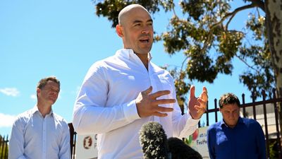 Terry Campese steps down as Labor's candidate for Monaro at NSW election