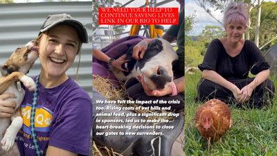 Instagram’s Feed Updates Are Killing Engagement Possibly Your Favourite Charities, Too