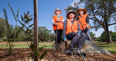 How one Canberra park was brought back to life