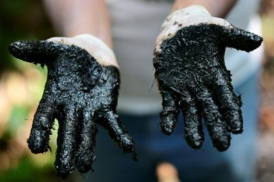 Amazon pollution: the stain on Ecuador's oil boom
