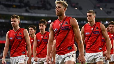 Essendon stalwart Dyson Heppell stands down as Bombers captain