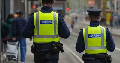 Huge increase in number of cars being stolen, gardai warn