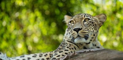 Mapping Iran's biodiversity hotspots to create new protected areas covering 20% of the landscape