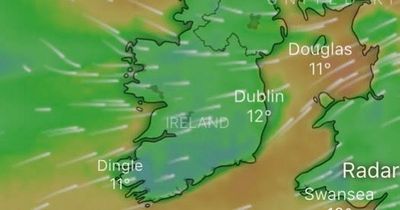 Dublin weather: Met Eireann forecast strong winds for capital with dull weekend on the way