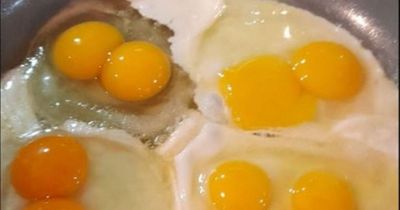 Couple find 11 billion to one egg in their Aldi half dozen