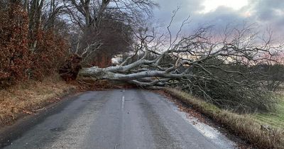 Scotland battered by Storm Otto leaving cars crushed and roads blocked