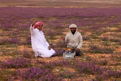 Floral bloom turns Saudi desert purple