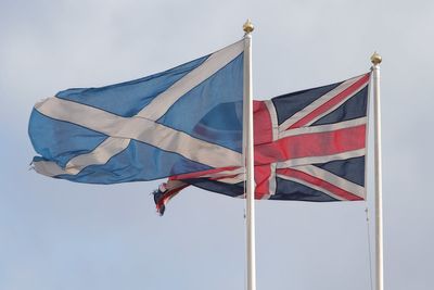 Support for Yes indyref vote at 46% before Sturgeon resigned – poll