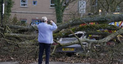 Man seriously hurt by falling tree in Storm Otto