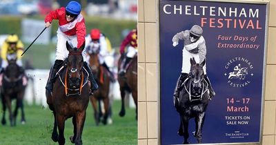 Cheltenham Festival uproar after Rachael Blackmore whip 'airbrushed' out of poster