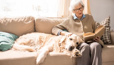 Ask the Doctors: Owning a companion animal helps with cognition in older adults