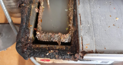 Takeaway owner hit with £2.5k fine for grim conditions including grease encrusted equipment