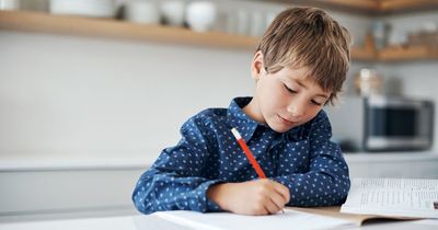 Dad in hysterics over son's 'very literal' response to homework question
