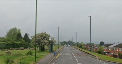 Man 'lost common sense' as he grabbed driver by the throat and smashed car up with baseball bat