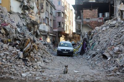 Turkey rages at shoddy construction after 'earthquake-proof' homes topple