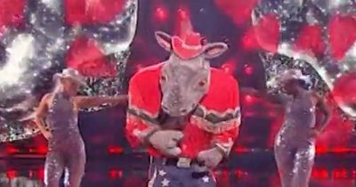 Masked Singer's Rhino causes final 'battle' as fans argue over identity