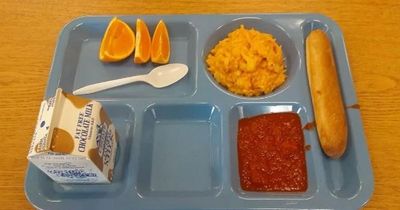 School slammed for 'depressing' dinners that leave growing children hungry