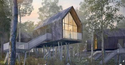 Giant £50m 'wellness' park project is knocked back amidst 'stability' concerns