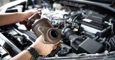 Catalytic converter 'thief' dies after sleeping driver wakes up and reverses over him