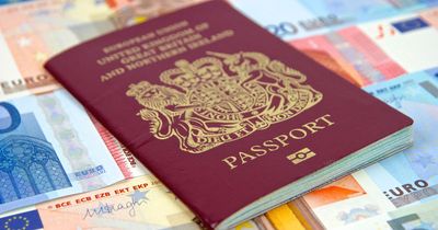 UK passport rules set to change from November with new entry process for EU countries