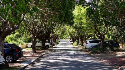 Perth tree conference investigates ways to boost city's dwindling canopy