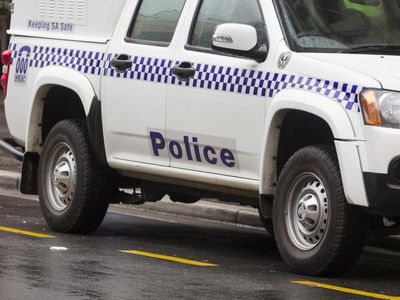 Body found in car submerged in Murray River